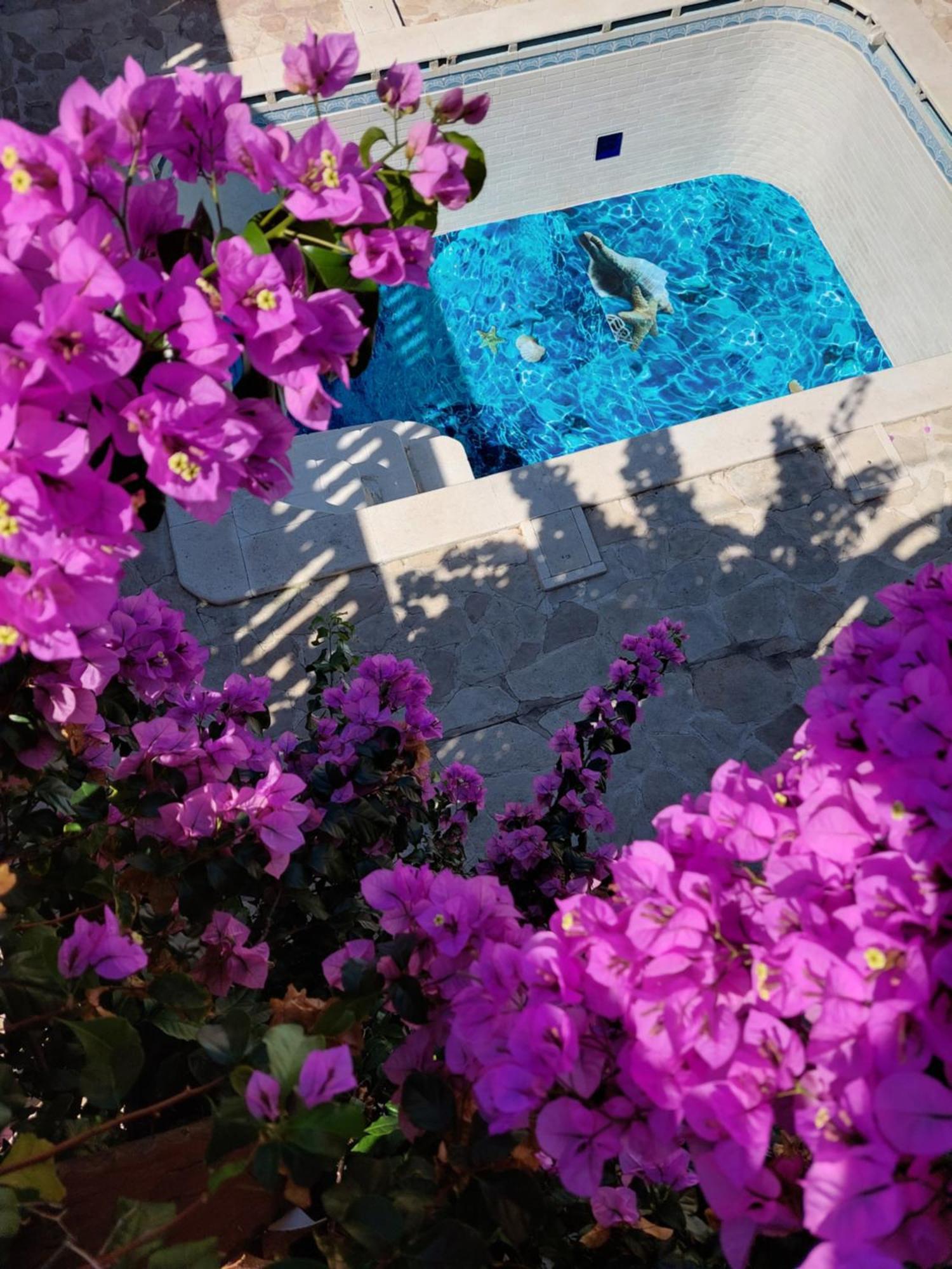 Studios Villa Romantica Zadar Ngoại thất bức ảnh